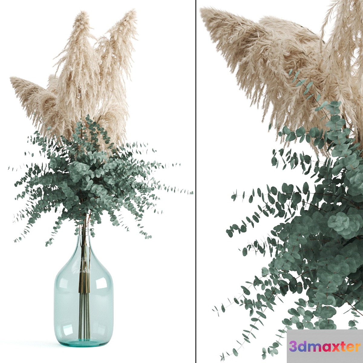 Cortaderia and eucalyptus in a large bottle - No.3