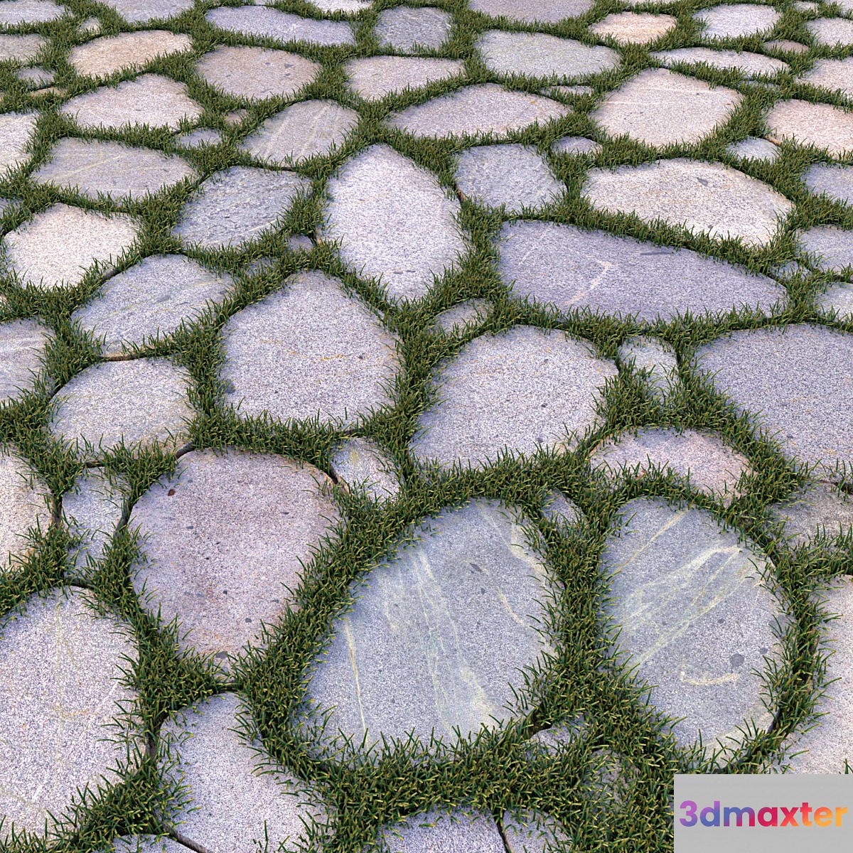 Garden floor 3D Max