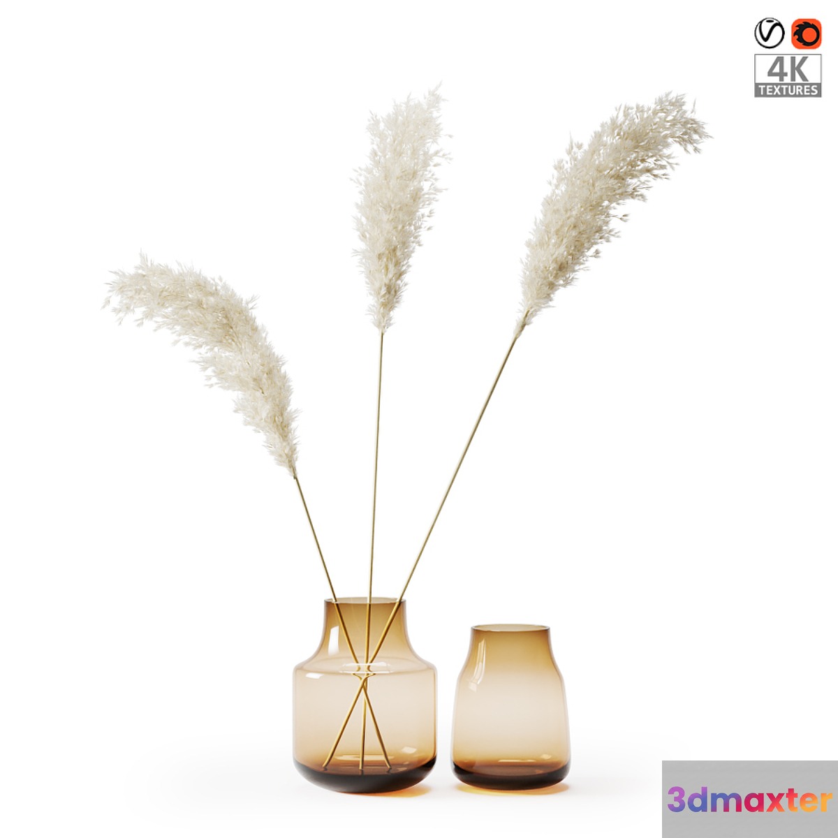 Pampas grass bouquet - No.4