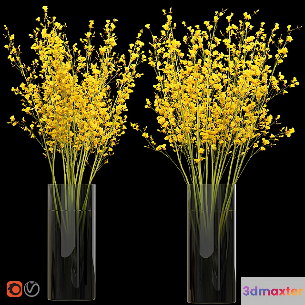 Big bouquet. Orchid oncidium in a vase