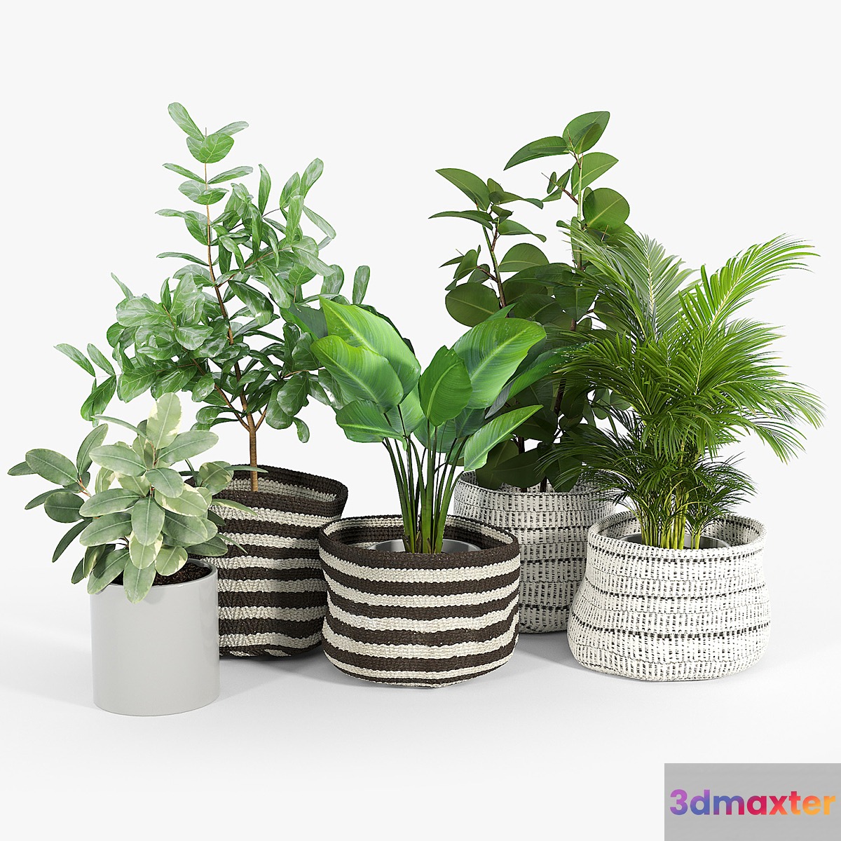 Mohave Stripe Baskets 3D Max