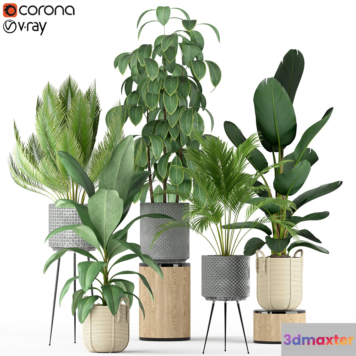 Plants collection 213 3D Max