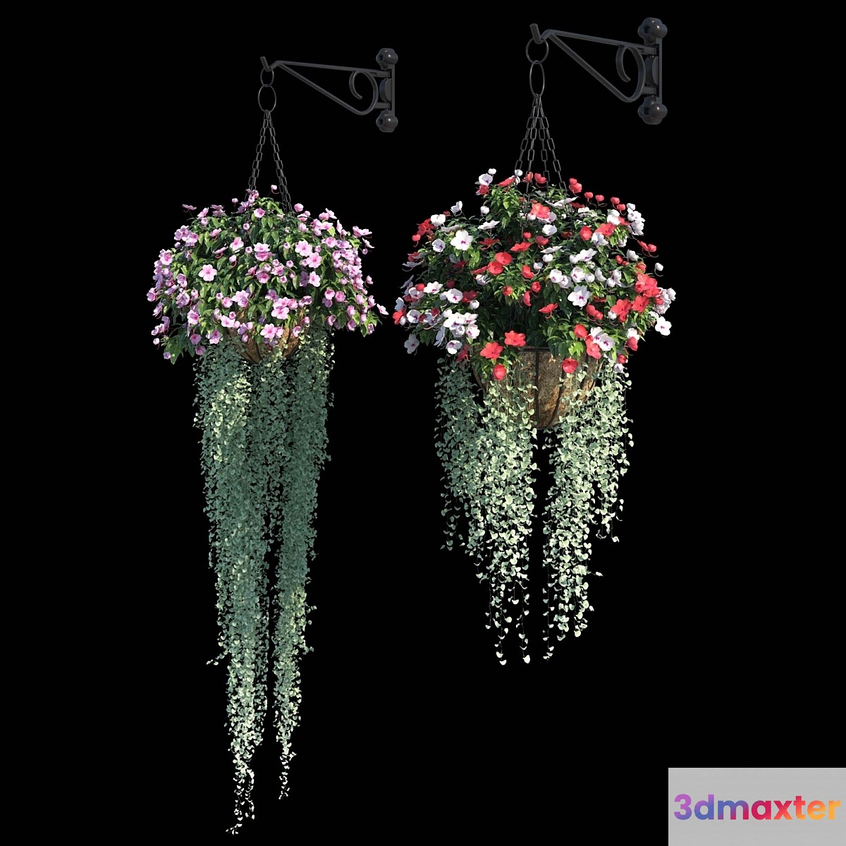 Set of plants No. 2 (balsamine + dichondra) 3D Max