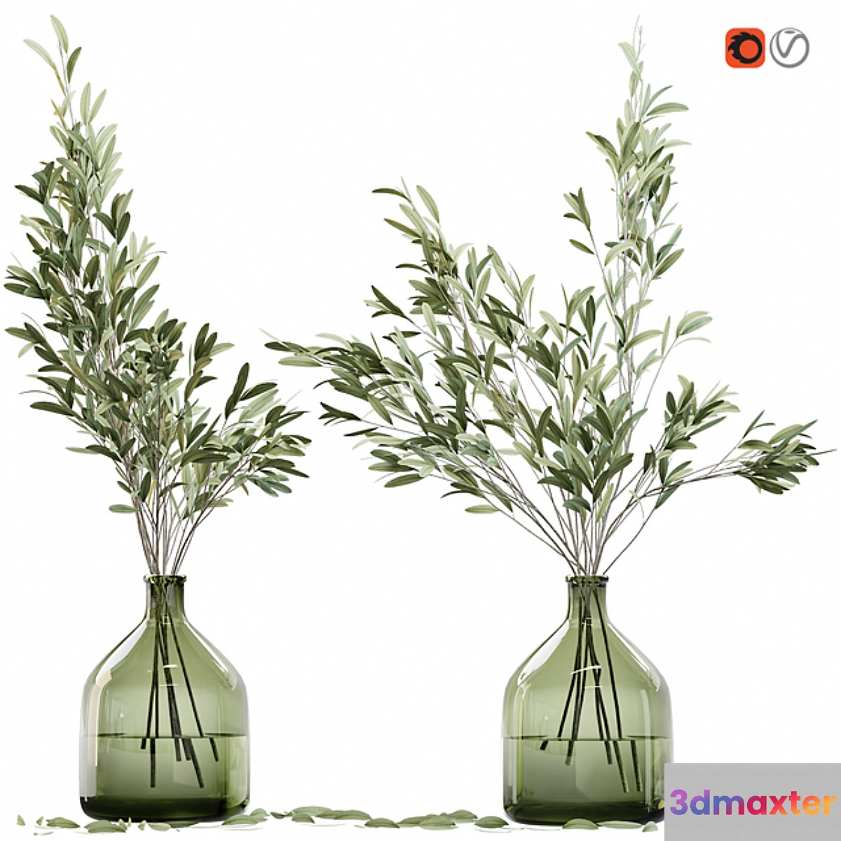 Olive stems in glass vase with water - No.3