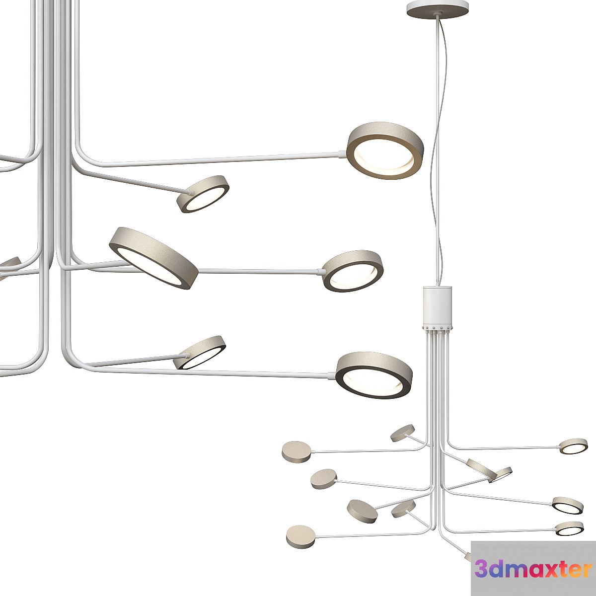 Icone luce arbor