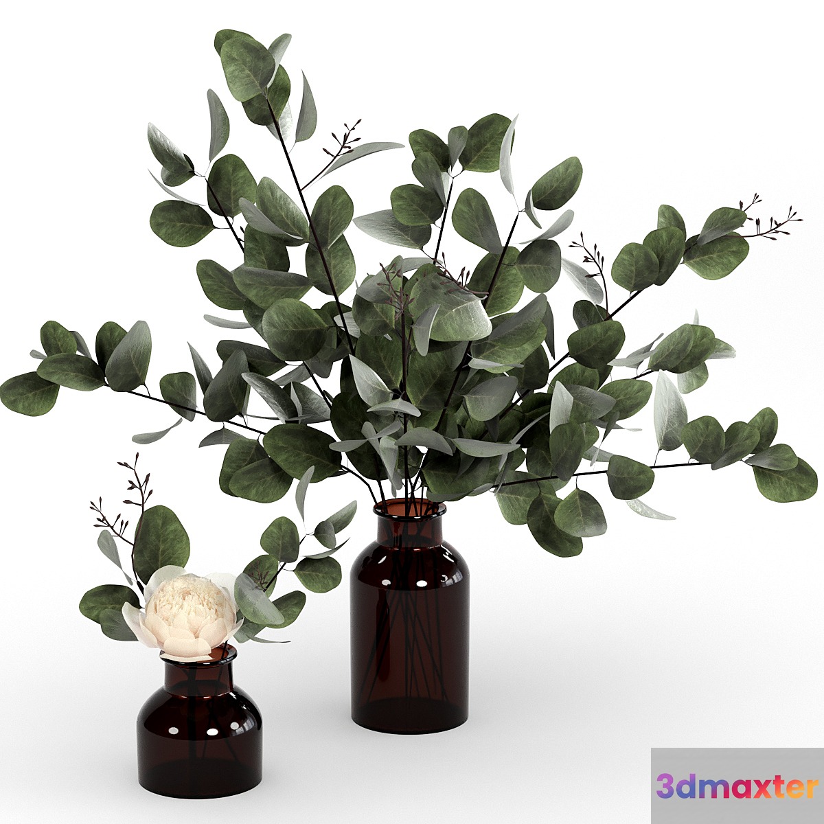 Bouquets of eucalyptus. 3D Max