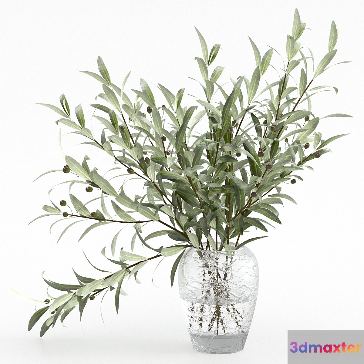 Olive branches in a vase 3D Max