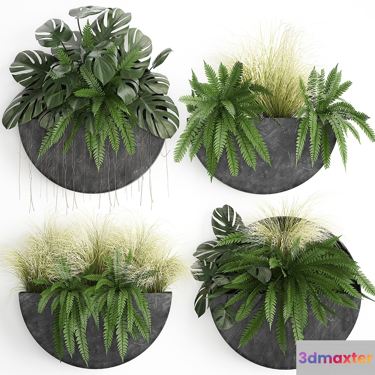 Vertical landscaping for the wall with a black metal shelf with flowers garden fern monstera grass. Set 57 3D Max