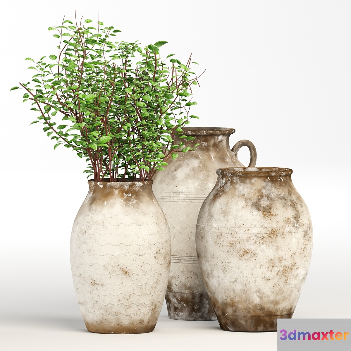 decor-jug 3D Max