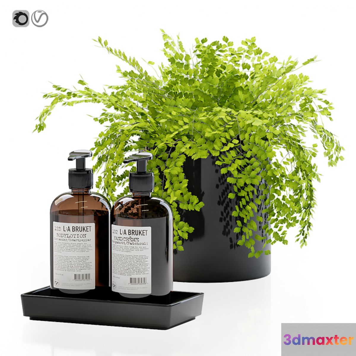 Maidenhair ferns adiantum tenerum capillus veneris with decor set for bathroom 3D Max