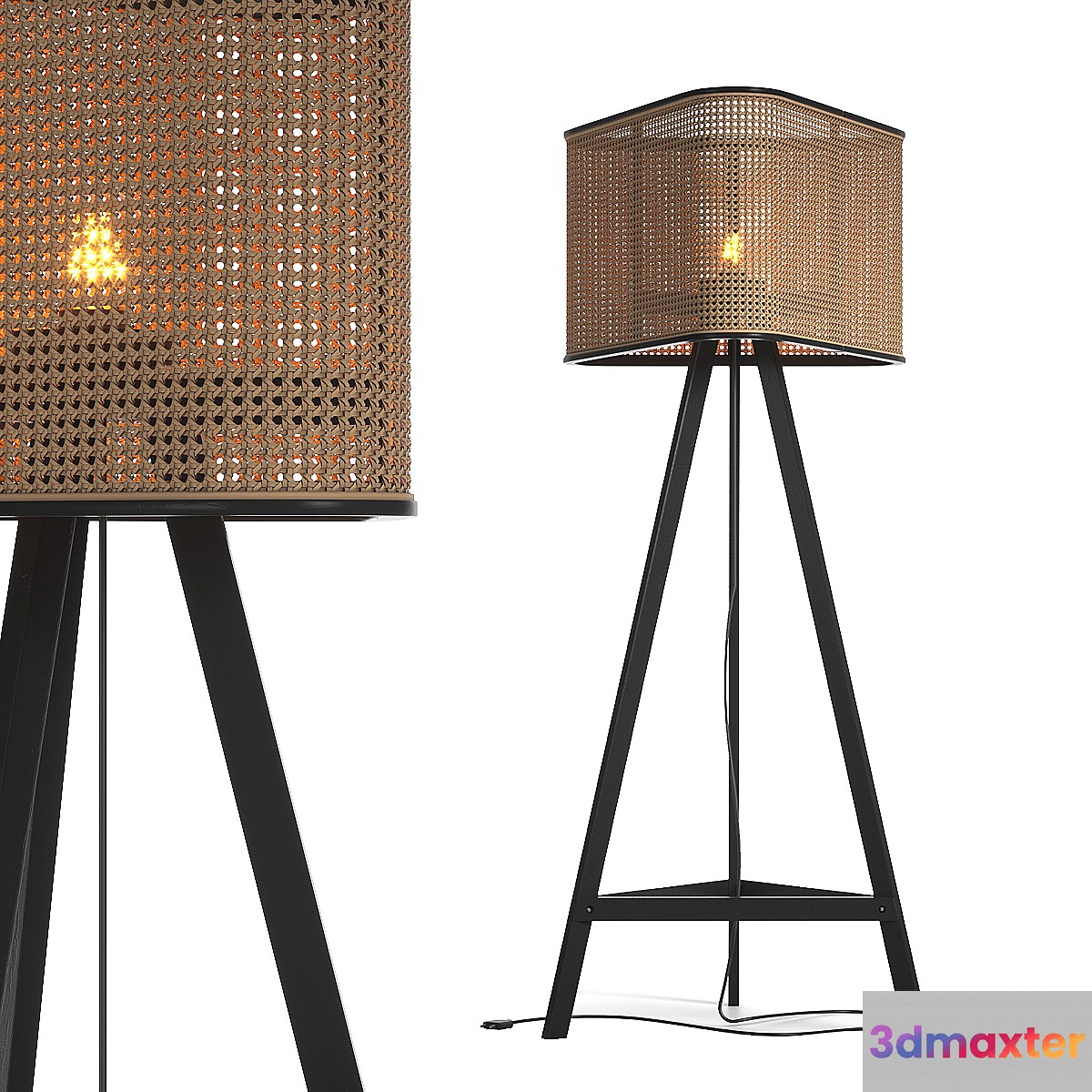 Cane Floor Lamp 3D Max