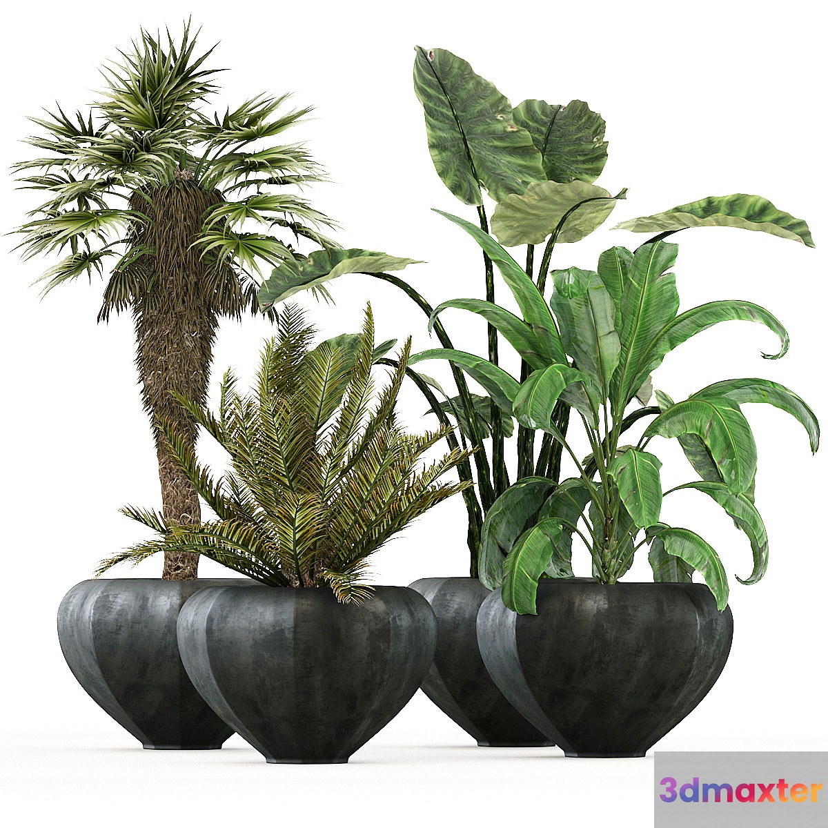 plant-01 3D Max