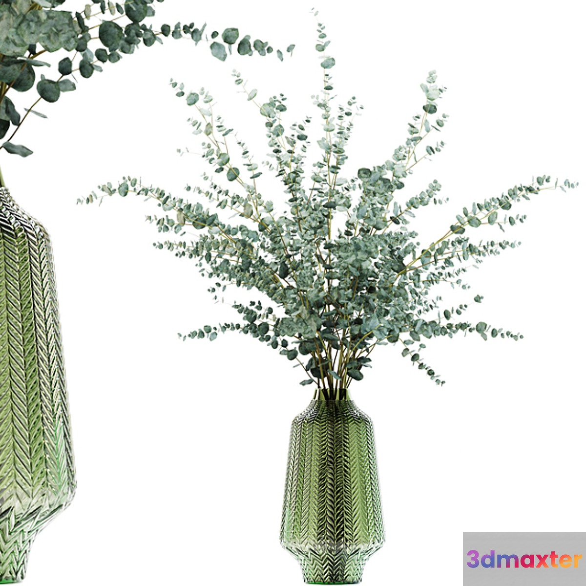 Eucalyptus branches in a green vase 3D Max