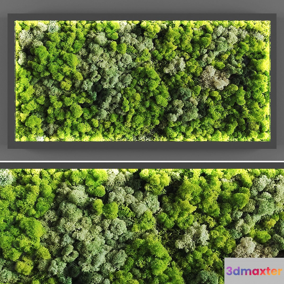 Vertical garden 059