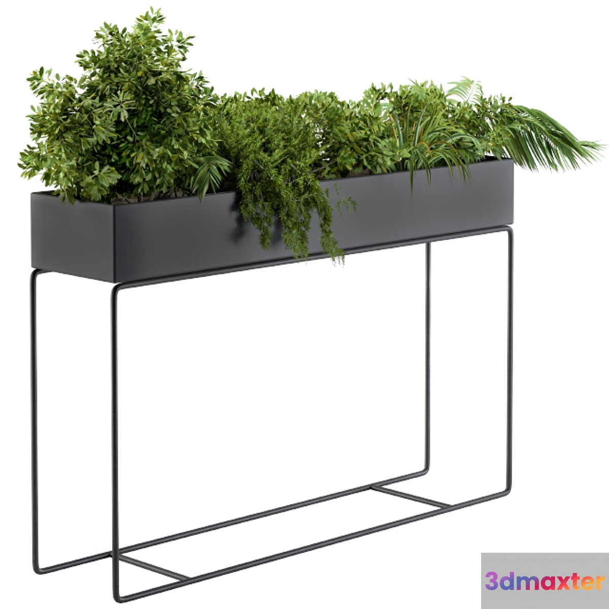 Black Box Plants on stand02