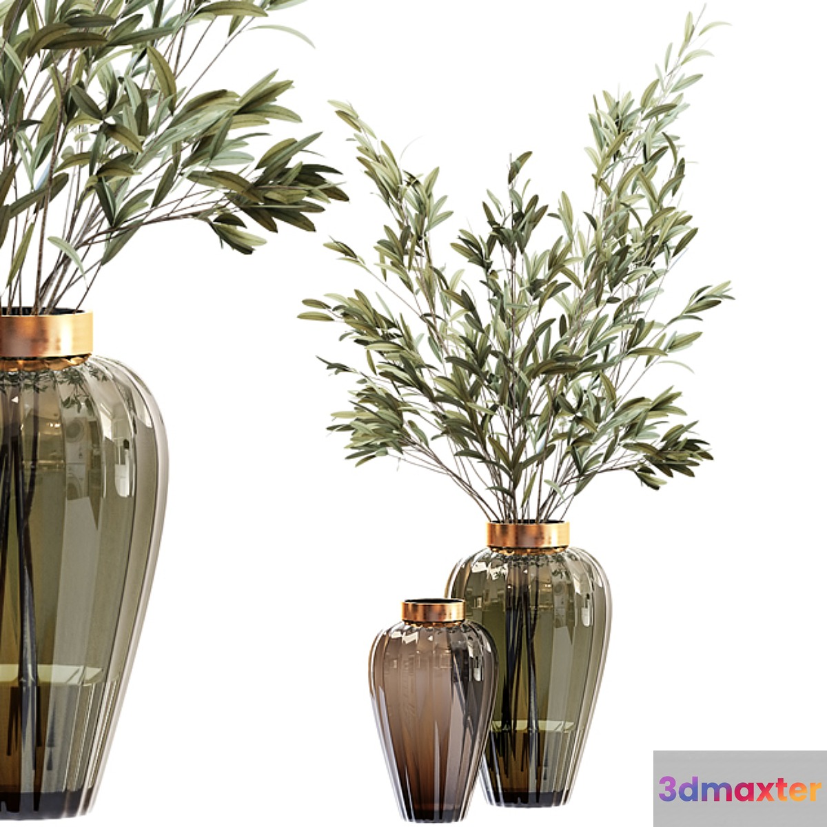 Olive stems in zara glass vase with water - No.2
