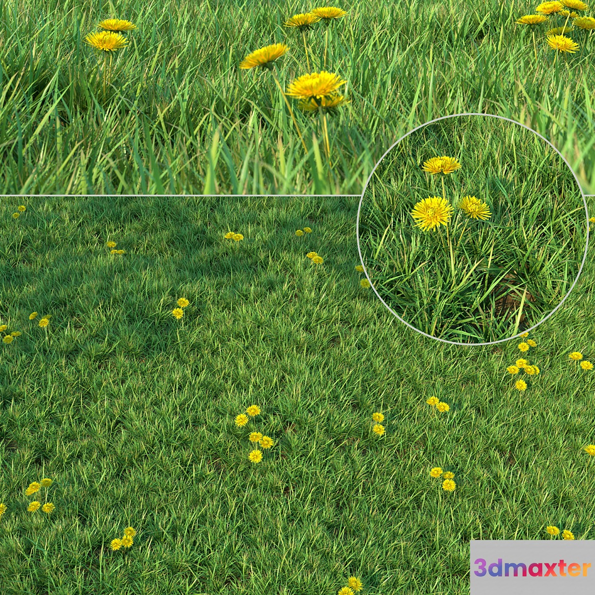Grass for landscaping 3D Max