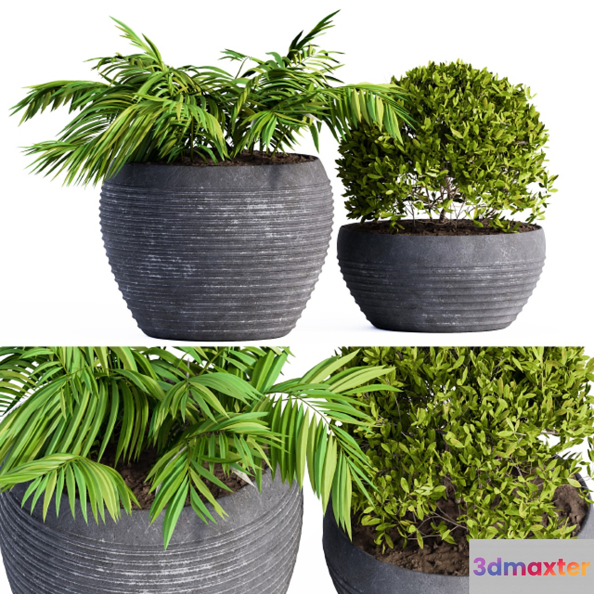 Outdoor Plants Black Pot 3D Max Outdoor Plants Black Pot 3D Max