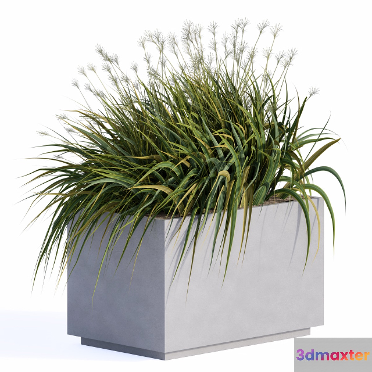 windy grass and Plants in Concrete Box 3D Max