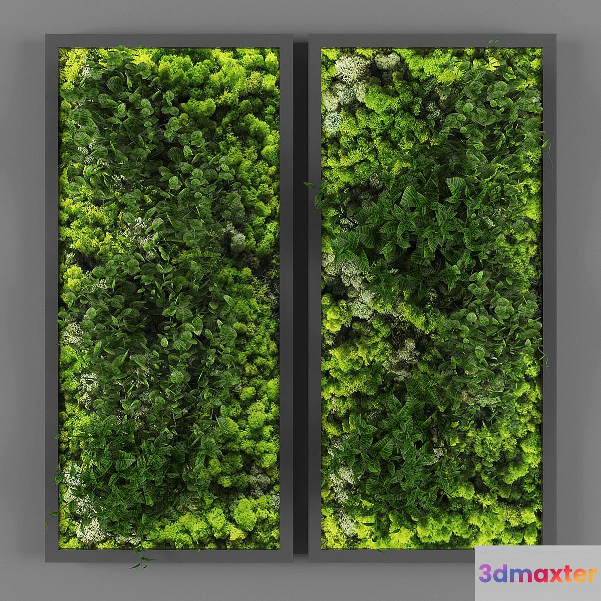 Vertical garden 062
