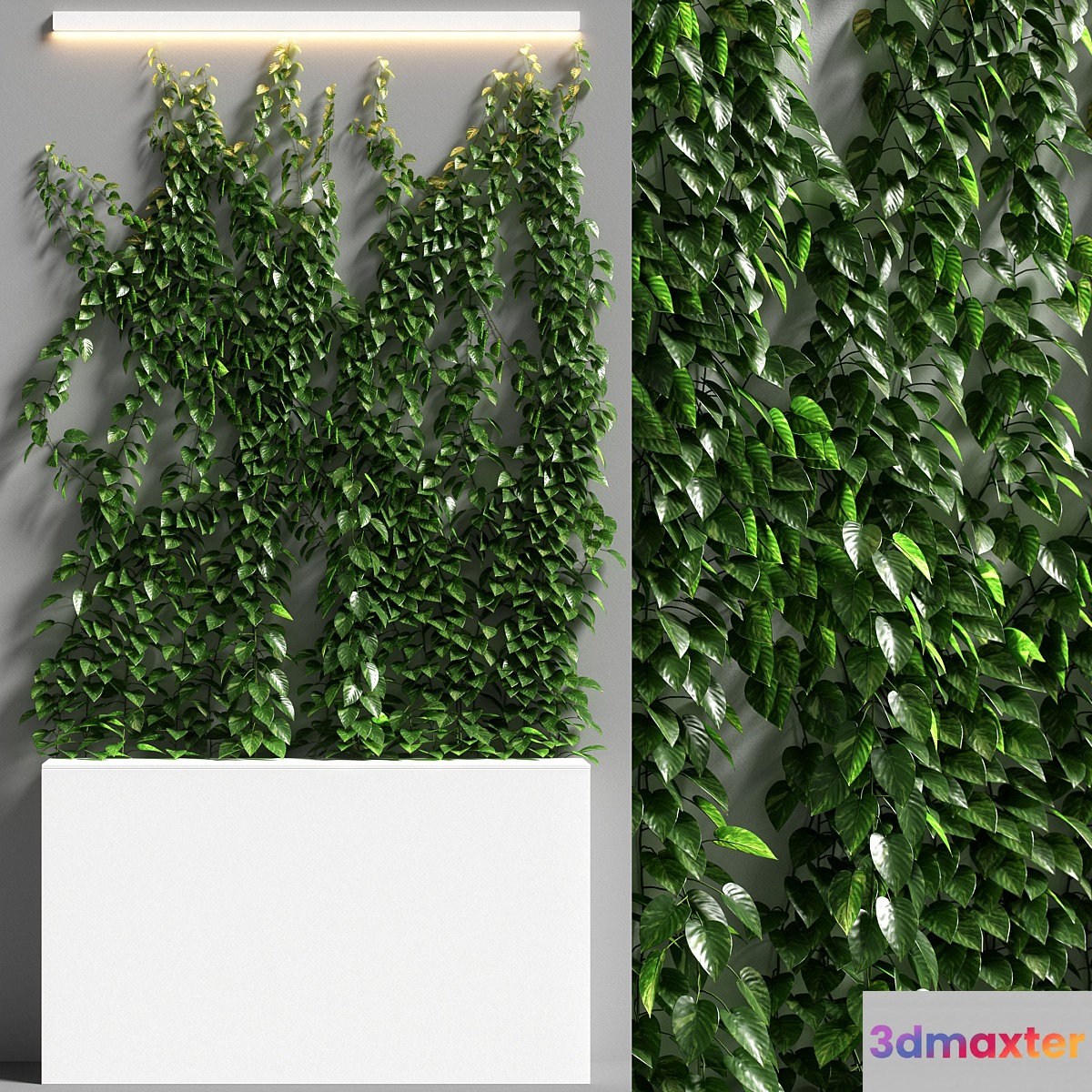 vertical garden 08 3D Max