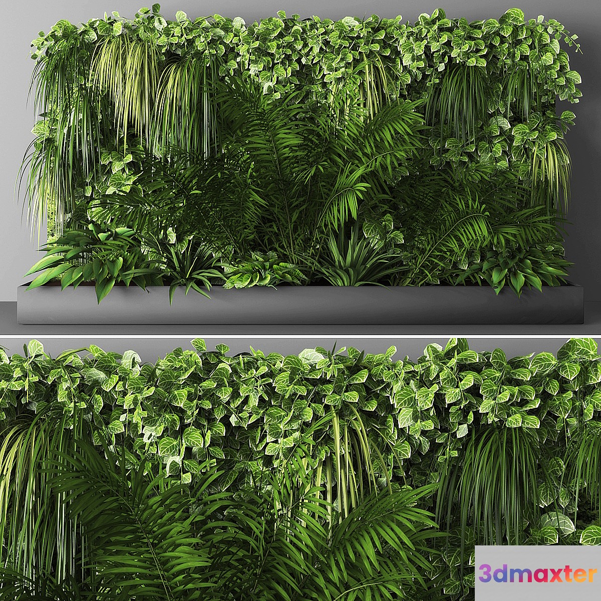 Vertical garden 065 - No.2 3D Max