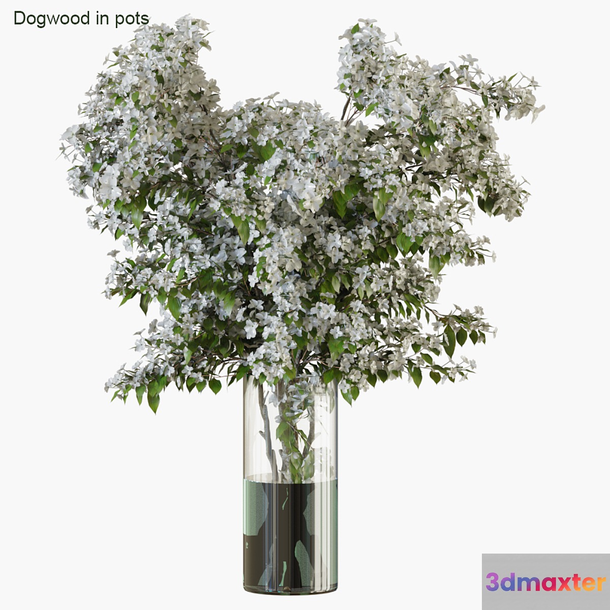 Branches in vases 34