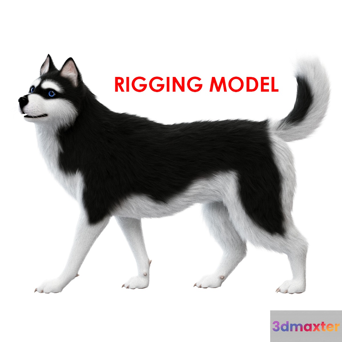 Dog (rig) 3D Max