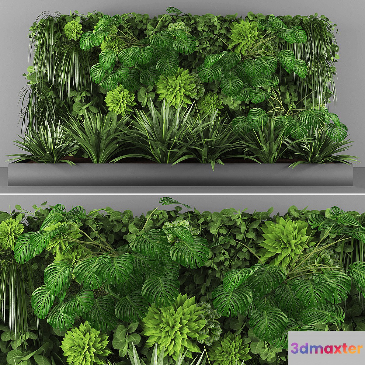 Vertical garden 067 3D Max