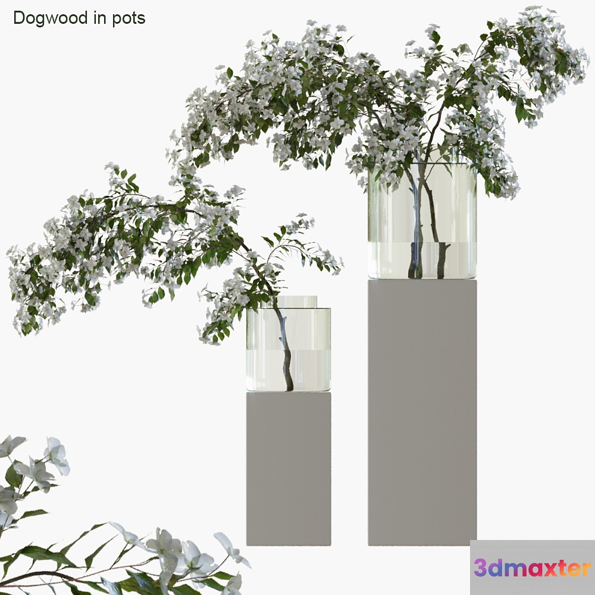 Branches in vases 35