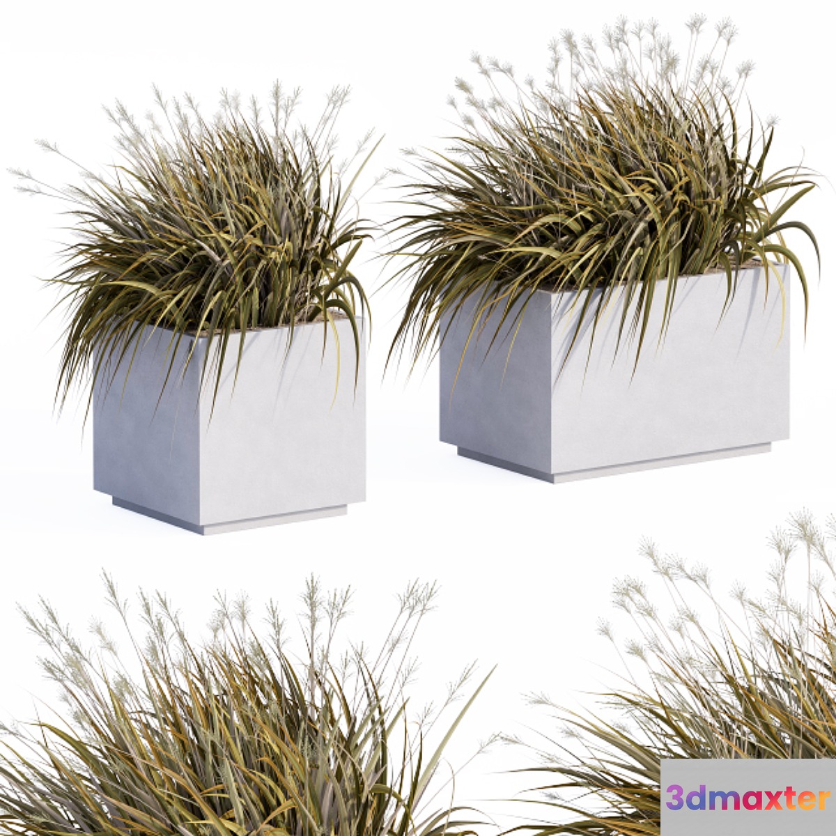 Concrete Plants Box 3D Max
