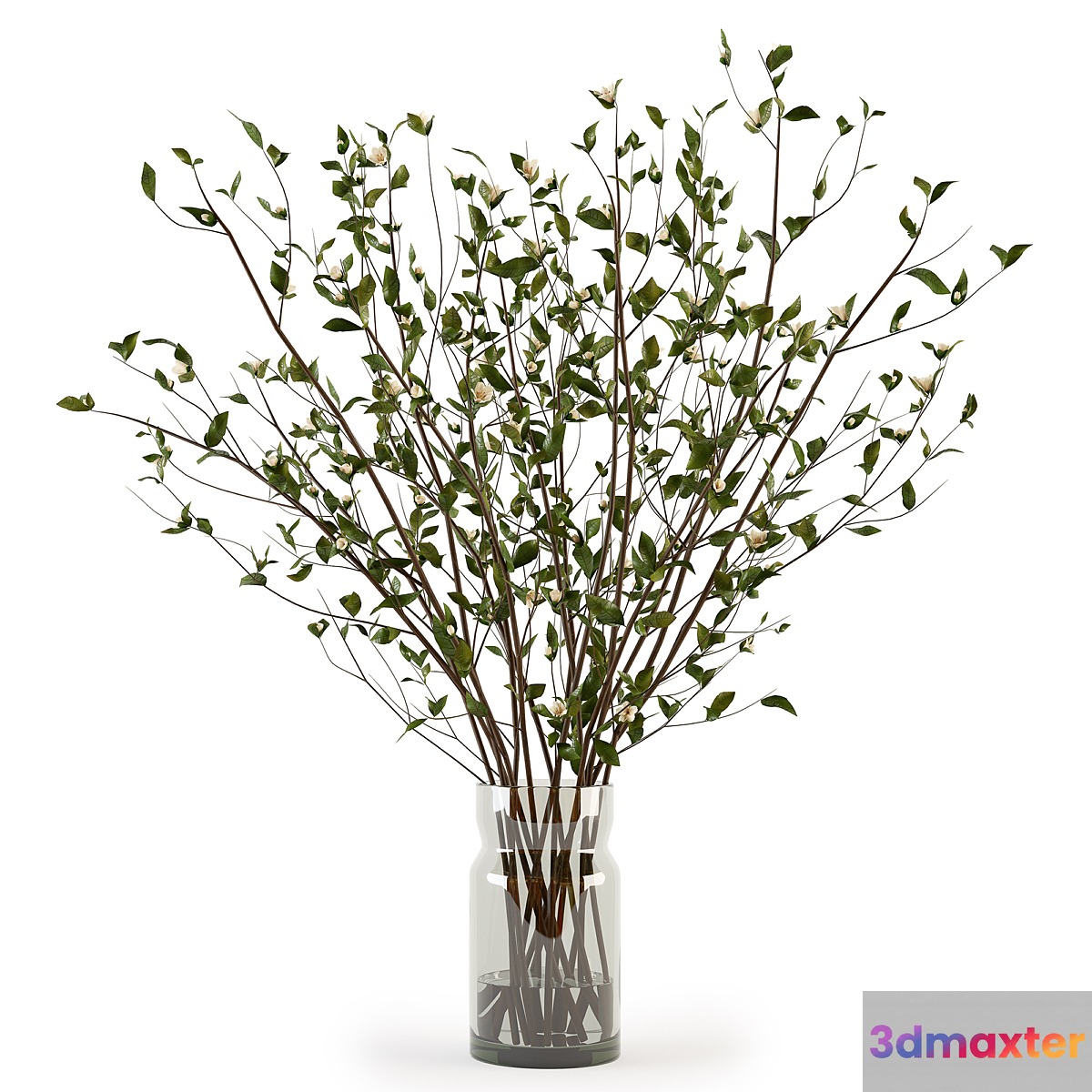 Branches in a Vase 009 3D Max