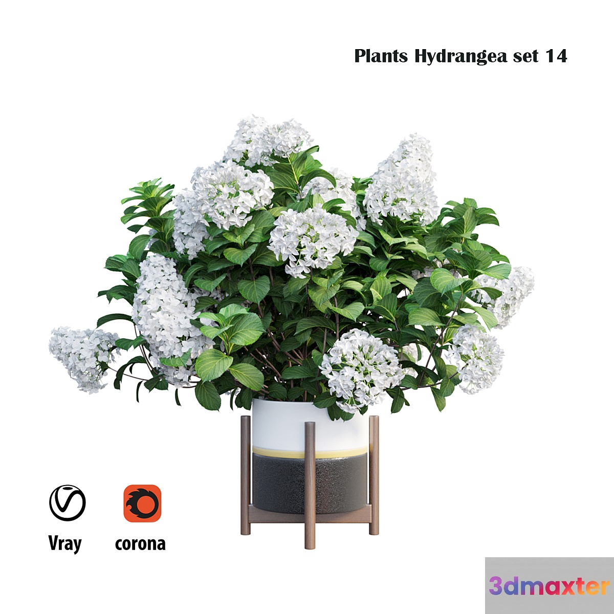 Plants Hydrangea set 14 3D Max