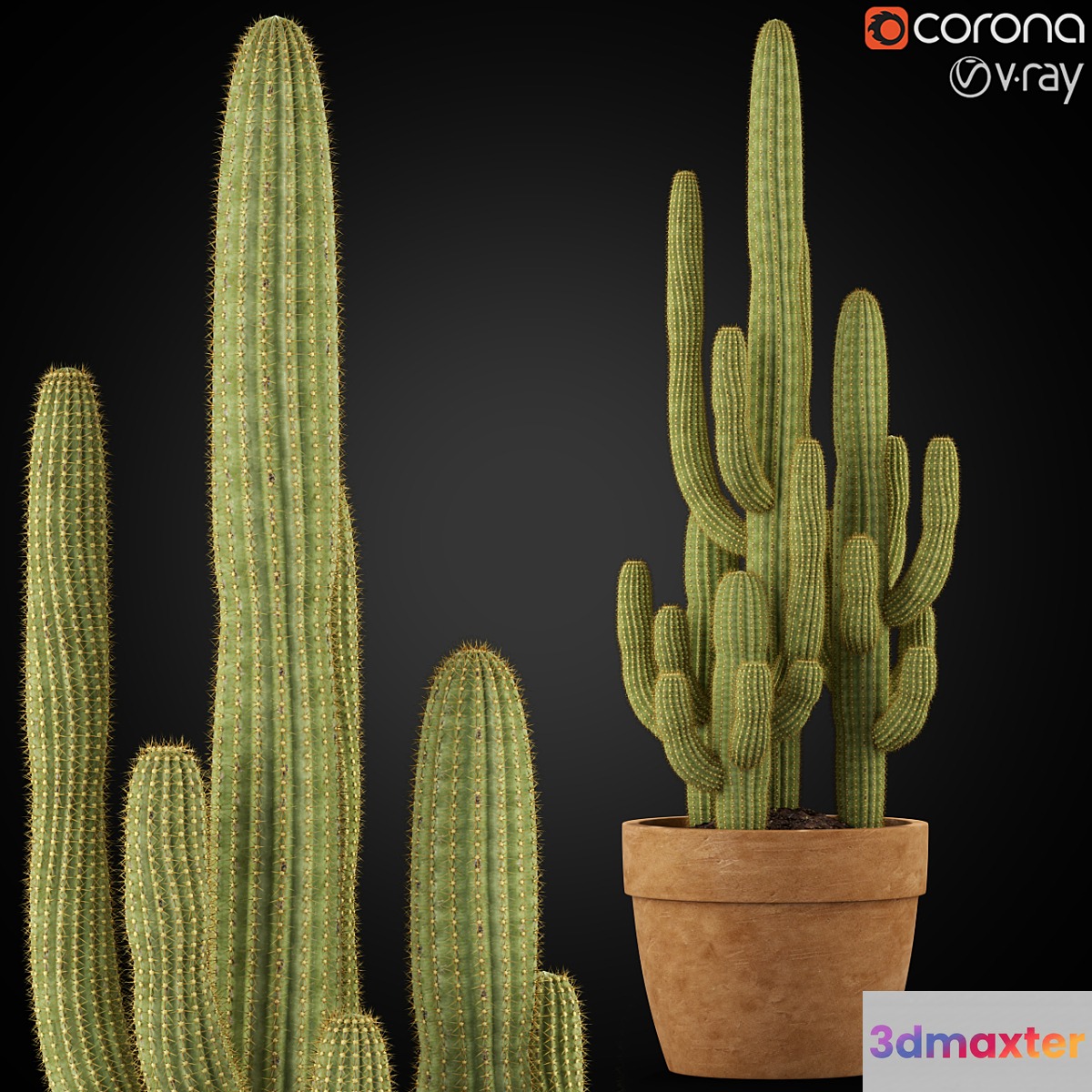 Plants collection 254 3D Max