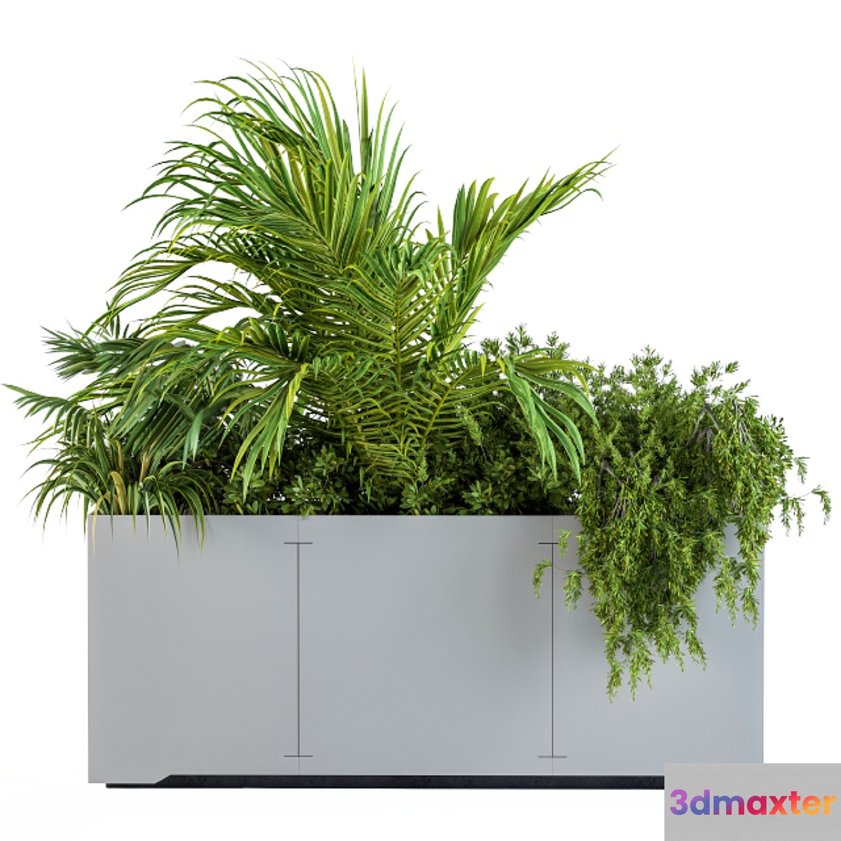 Gray Plants Box with Tropical plant 3D Max