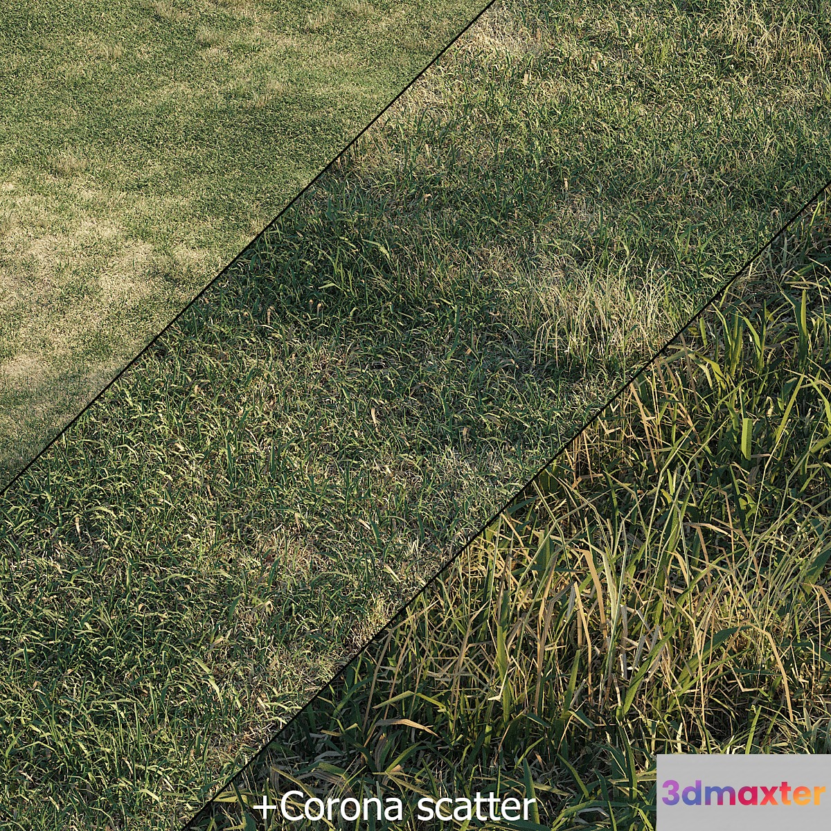 Spring meadow | grass 3D Max