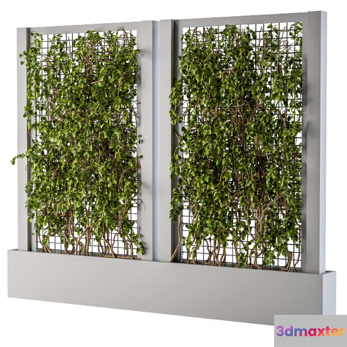 ivy Box Plants Gray 3D Max