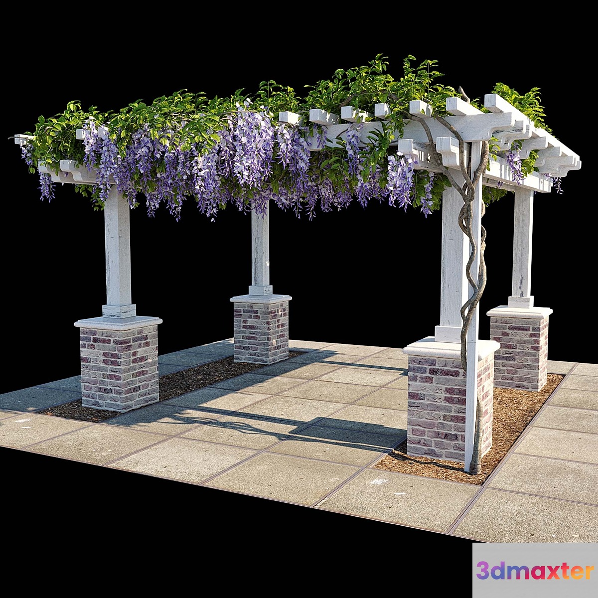 Pergola with Wisteria (Pergola with Wisteria) 3D Max