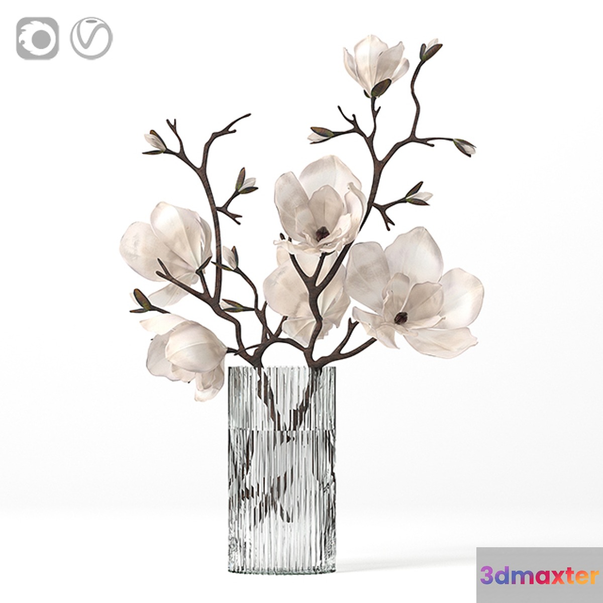 Magnolia - No.4