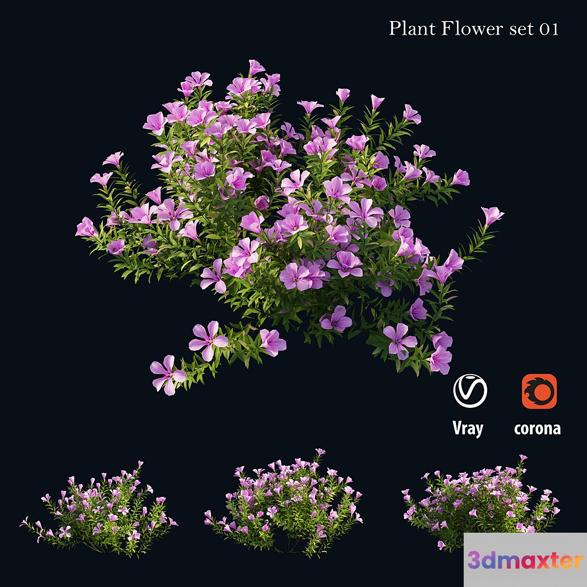 Plant Flower set 01 3D Max