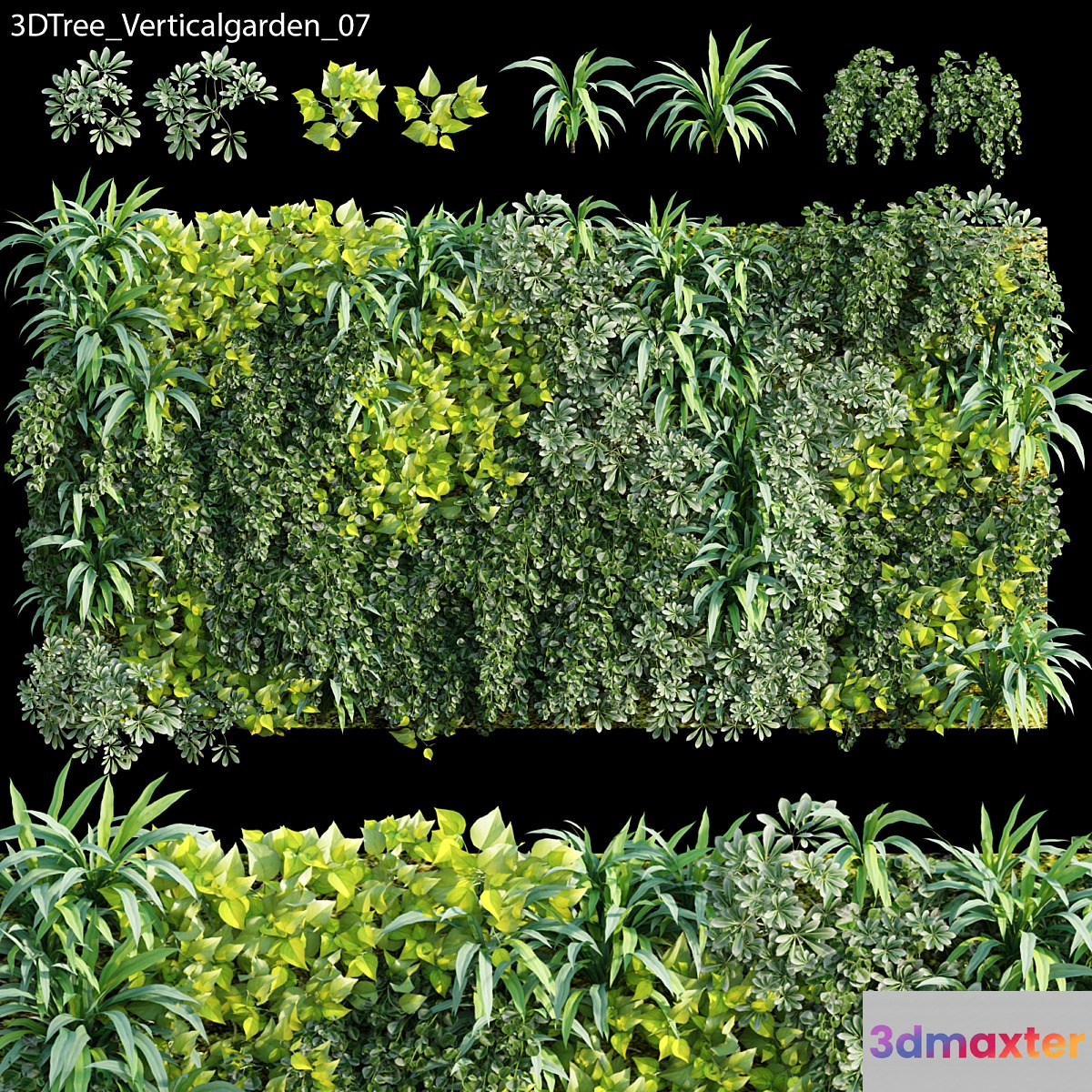 Verticalgarden - Green wall 07 3D Max