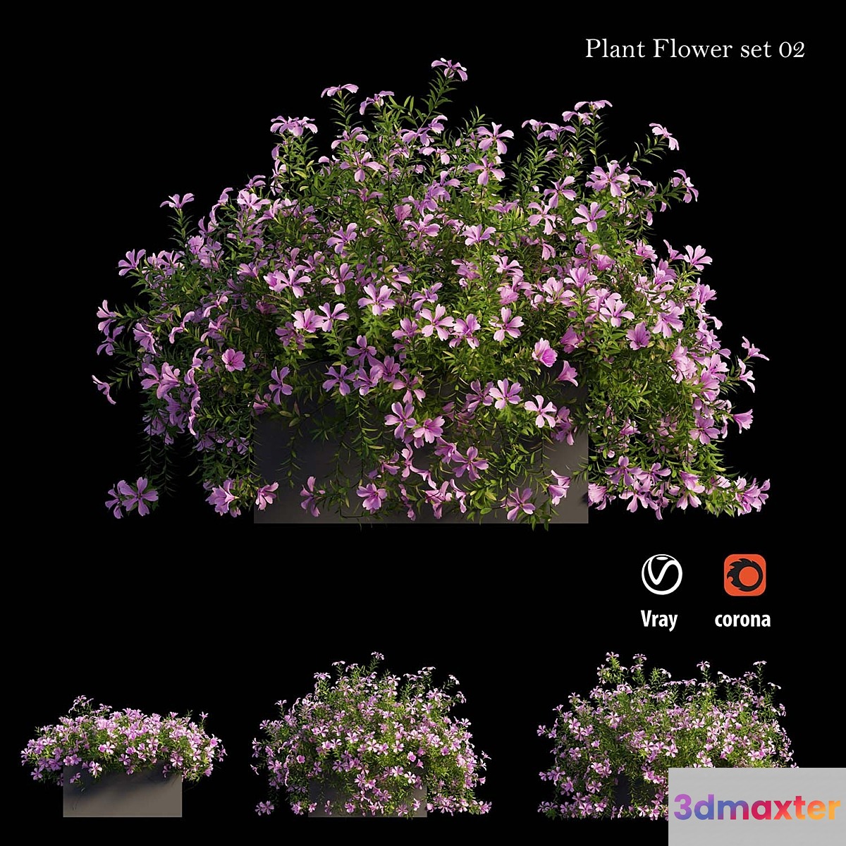 Plant Flower set 02 - No.3