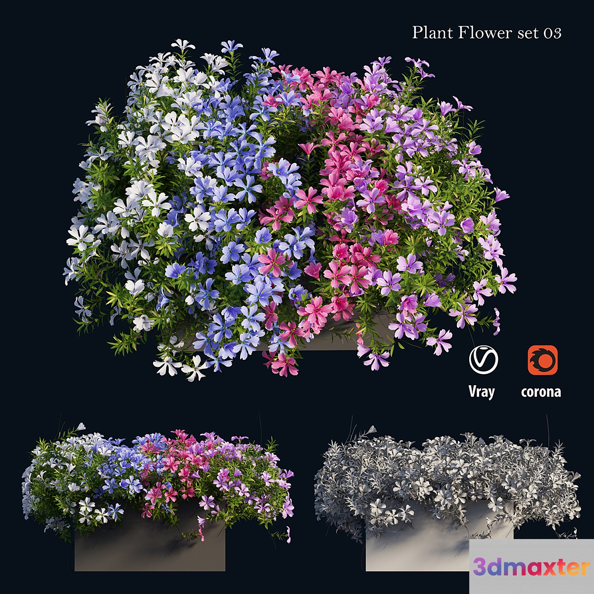 Plant Flower set 03 - No.2