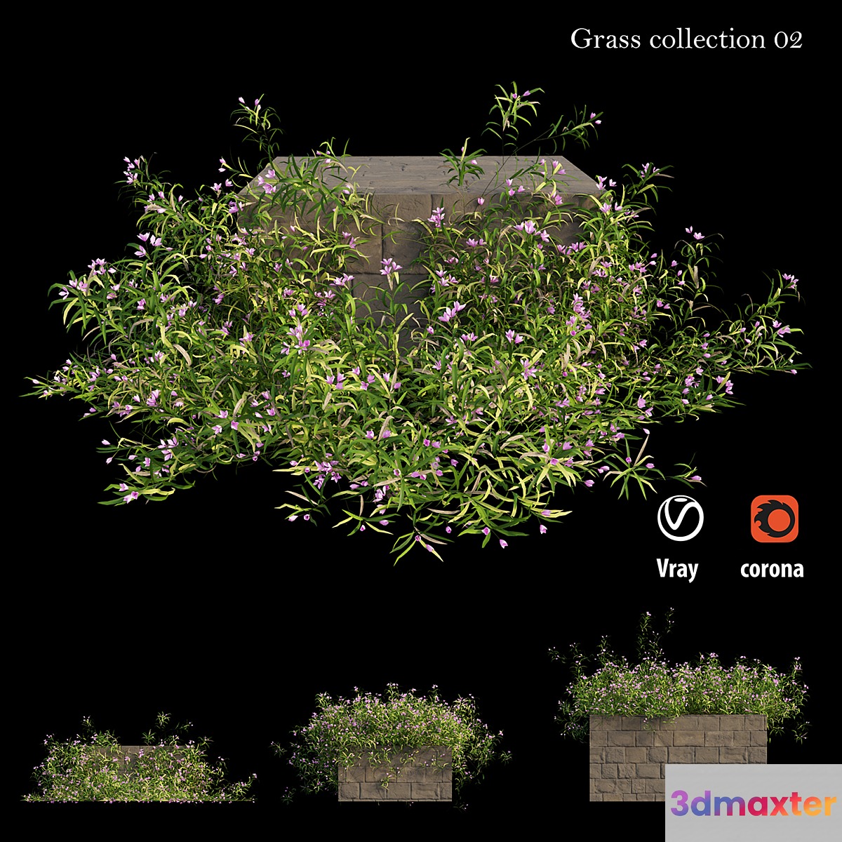 Grass collection 02 - No.2