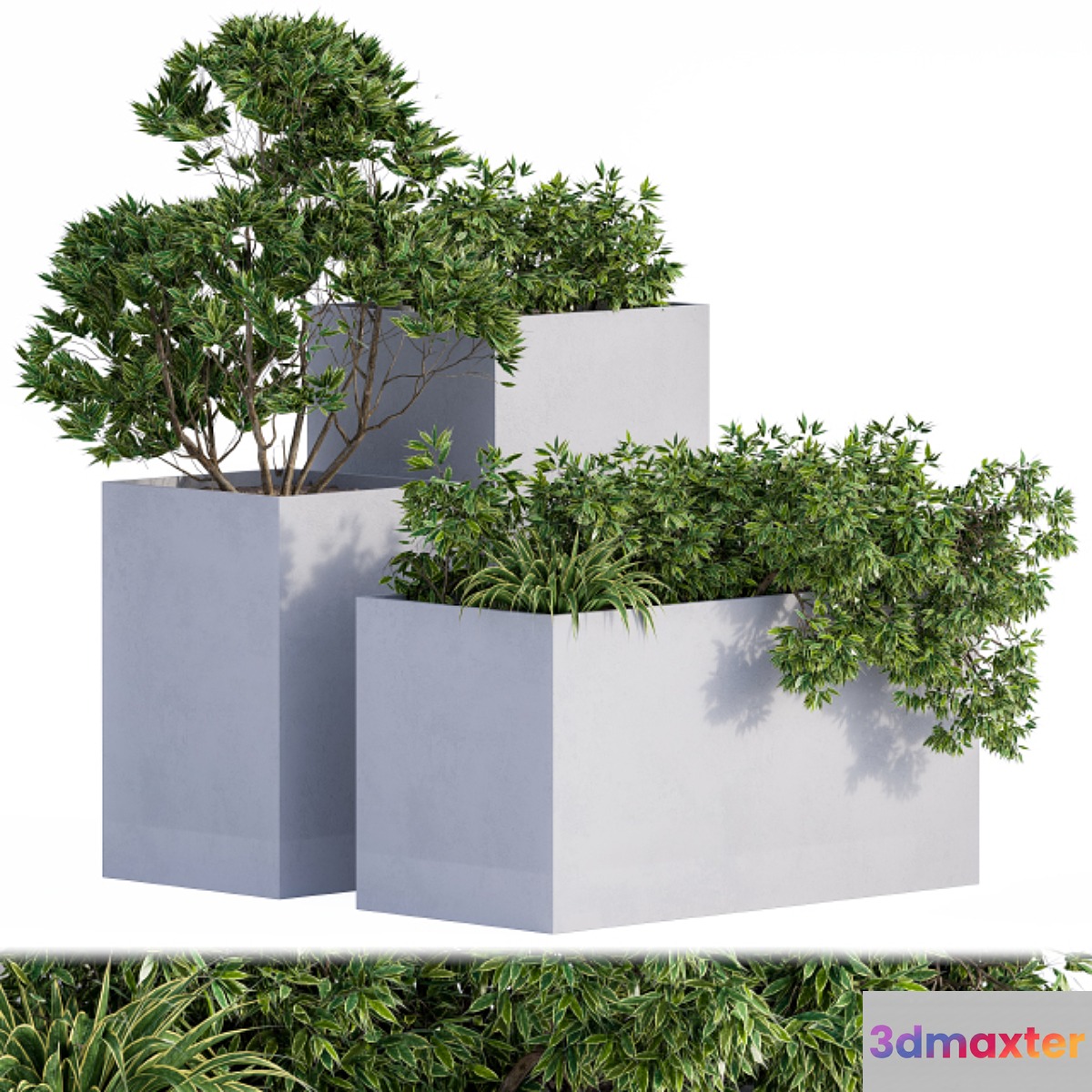 Outdoor Plants Box Concrete 3D Max