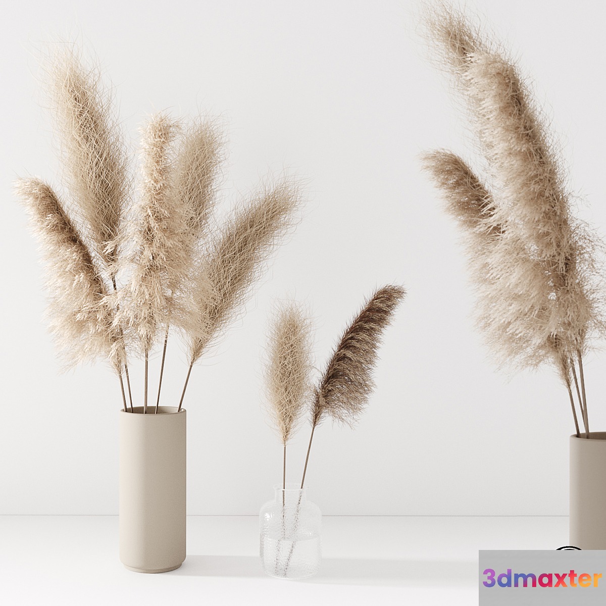 Set of pampas in vase 3D Max