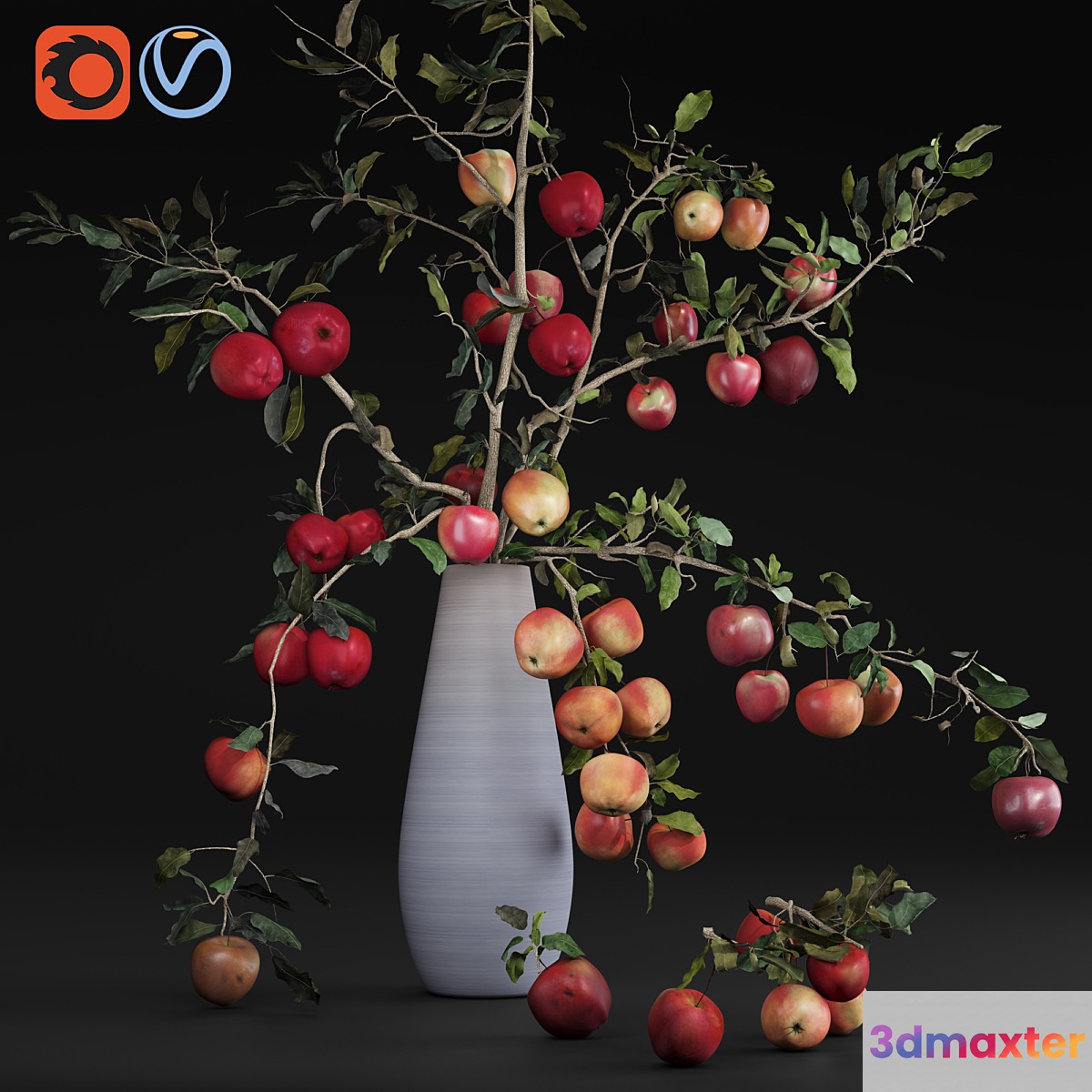 Red Cherry tomato apple branches Dry leaves Vase