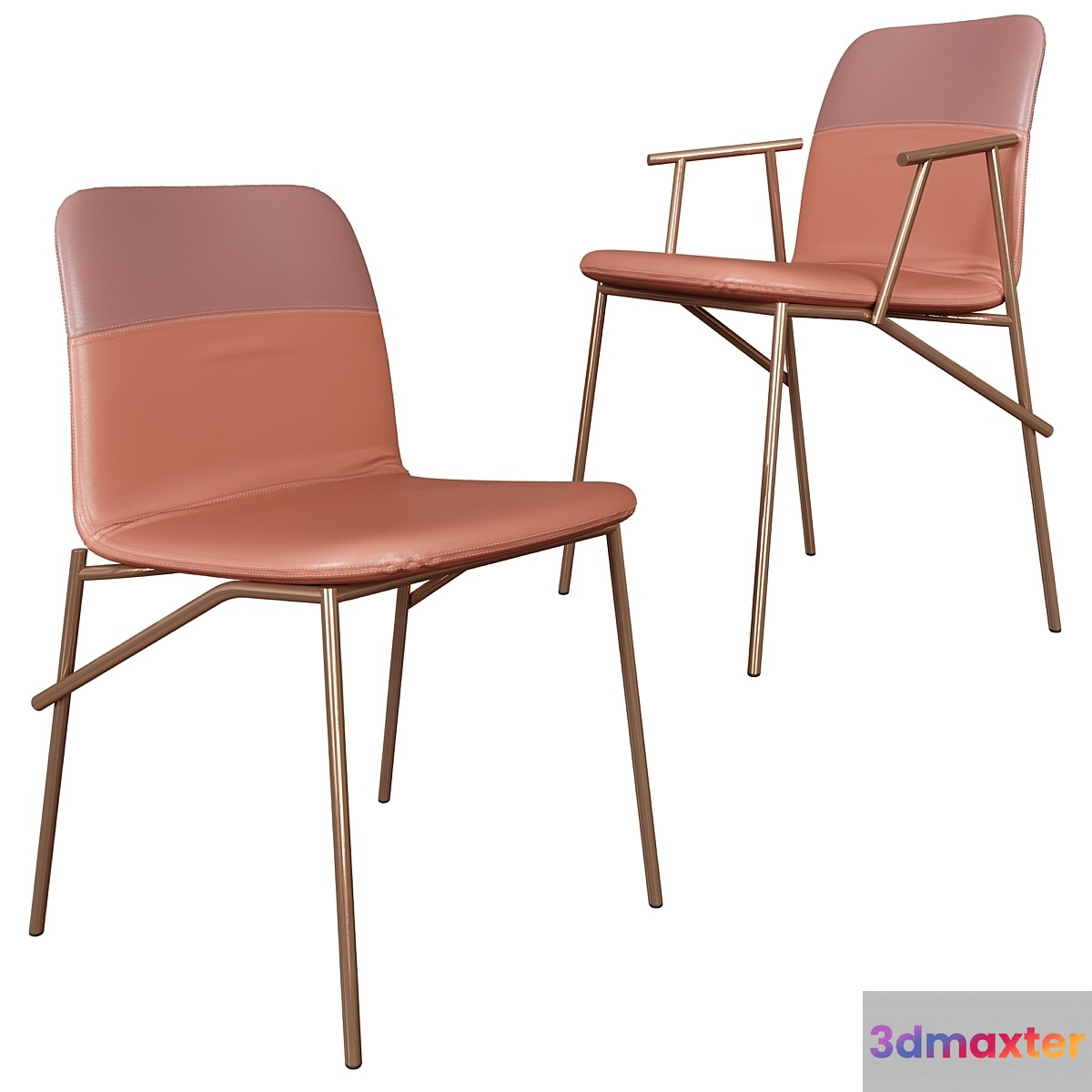 Alunna 3D Max