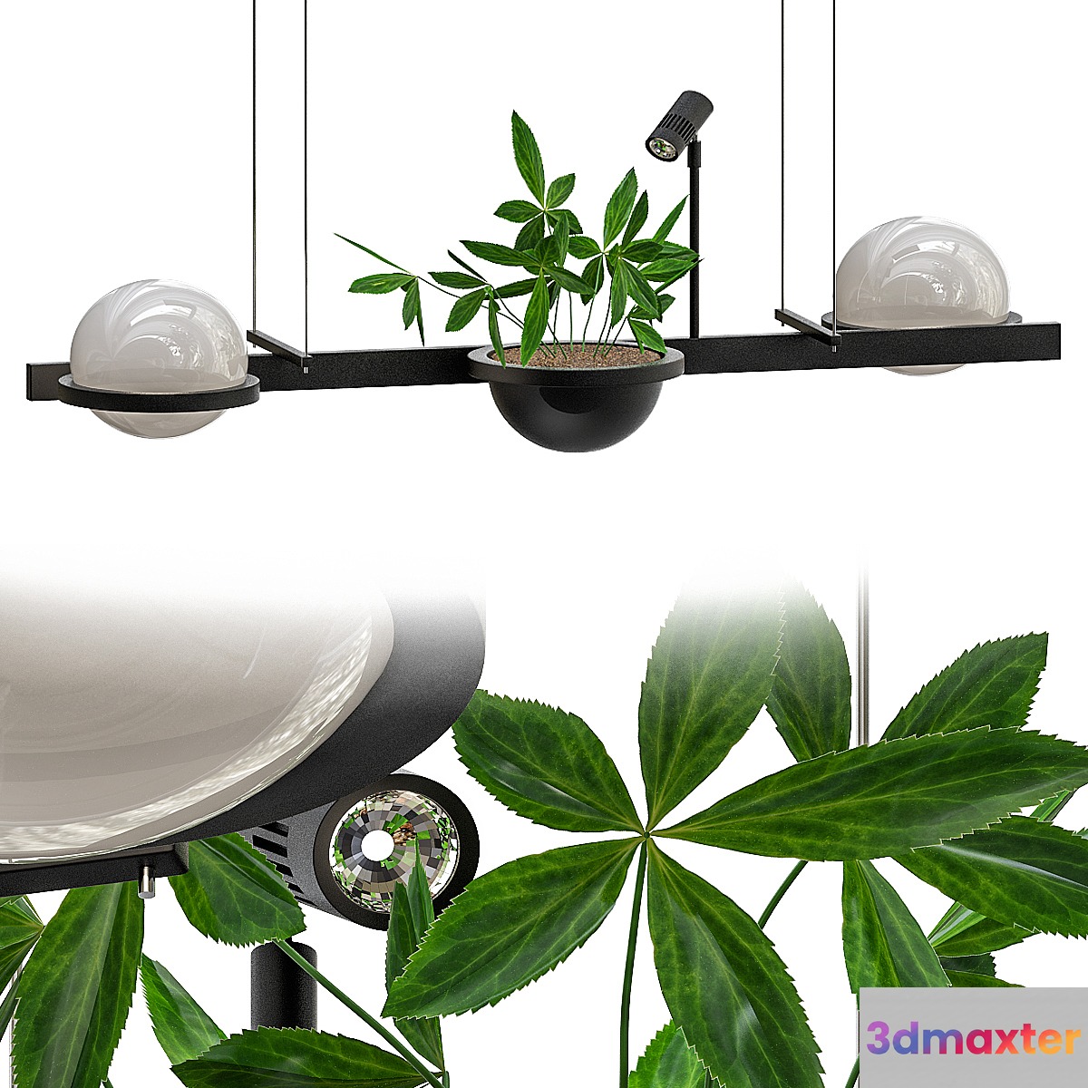 Palma_Vibi 3D Max