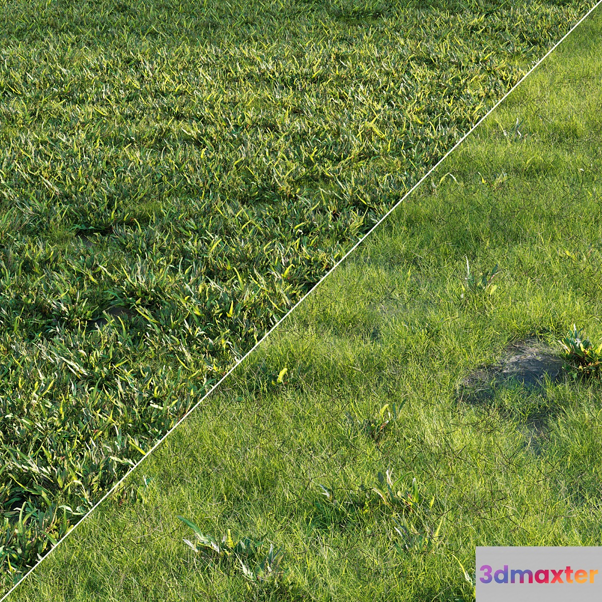 Grass Set 01